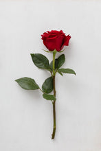 Load image into Gallery viewer, Single Red Rose
