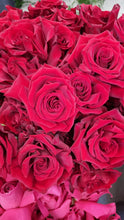 Load image into Gallery viewer, 2 DOZEN RED ROSES
